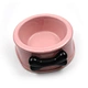 best cat bowl
